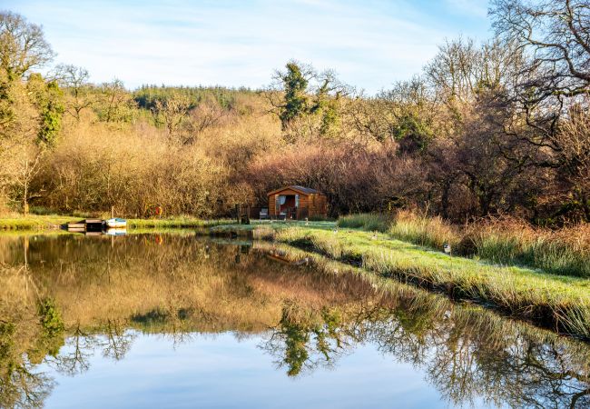 Farm stay in Germansweek - Yeworthy Eco-Treehouse