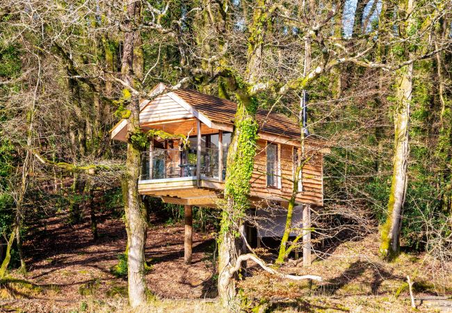Farm stay in Germansweek - Yeworthy Eco-Treehouse Farm stay in Germansweek - Yeworthy Eco-Treehouse