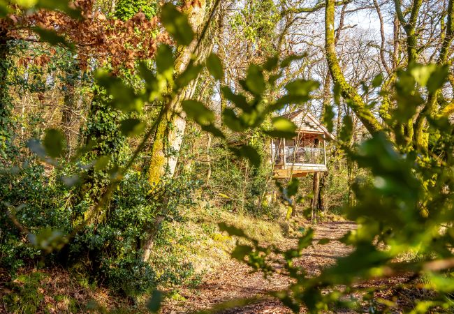 Farm stay in Germansweek - Yeworthy Eco-Treehouse