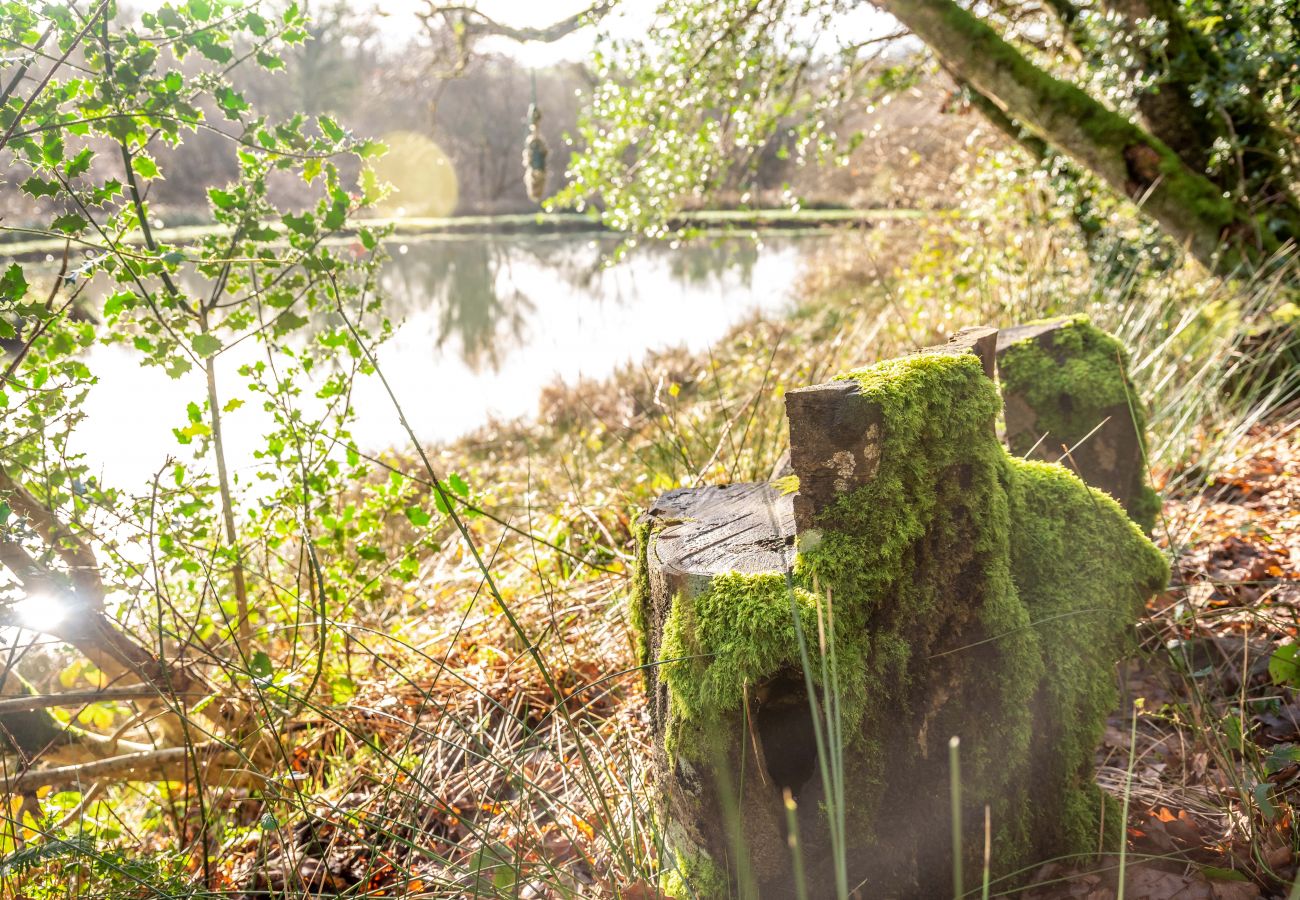 Farm stay in Germansweek - Yeworthy Eco-Treehouse