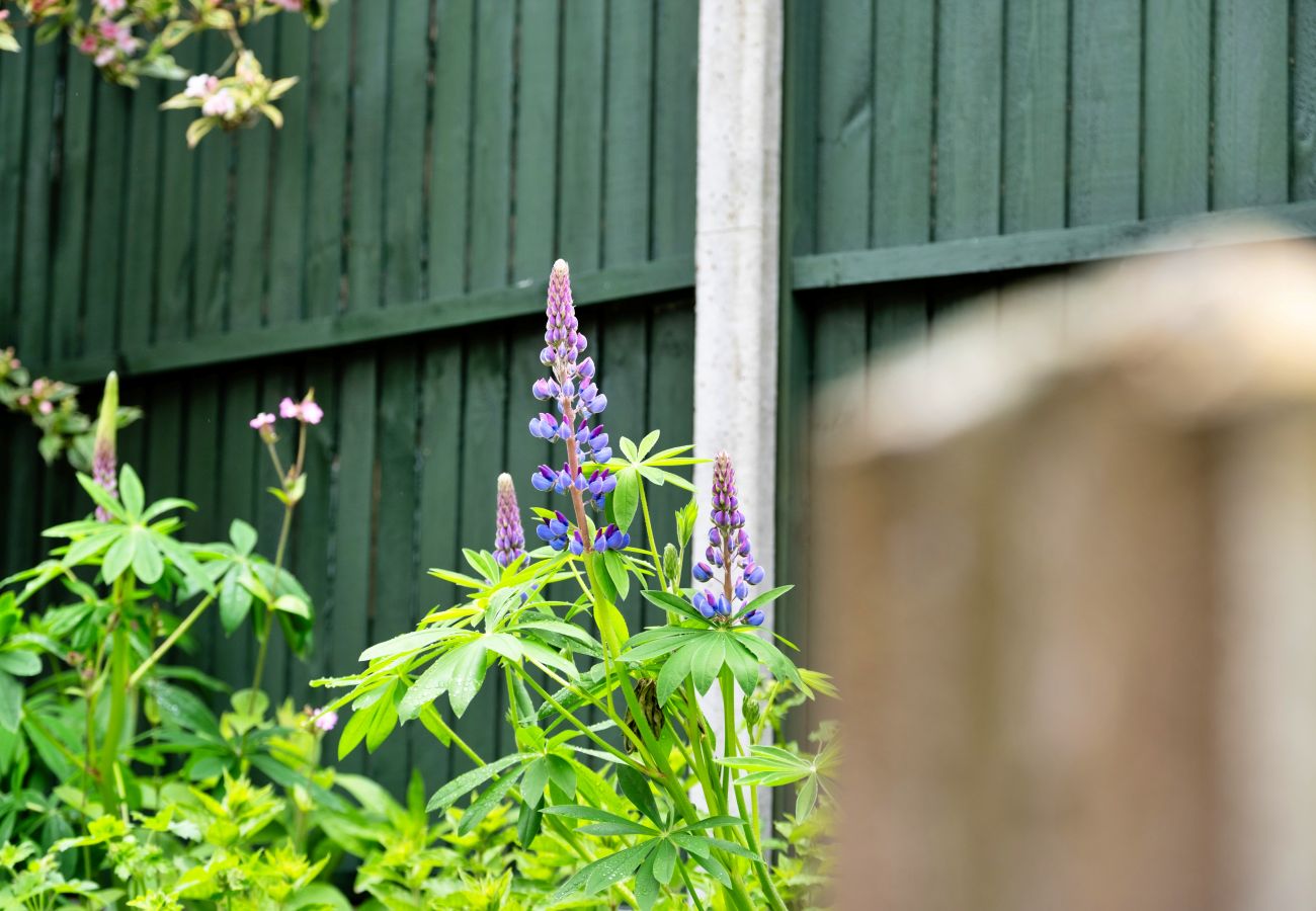 Cottage in Craven Arms - The Grove Annexe