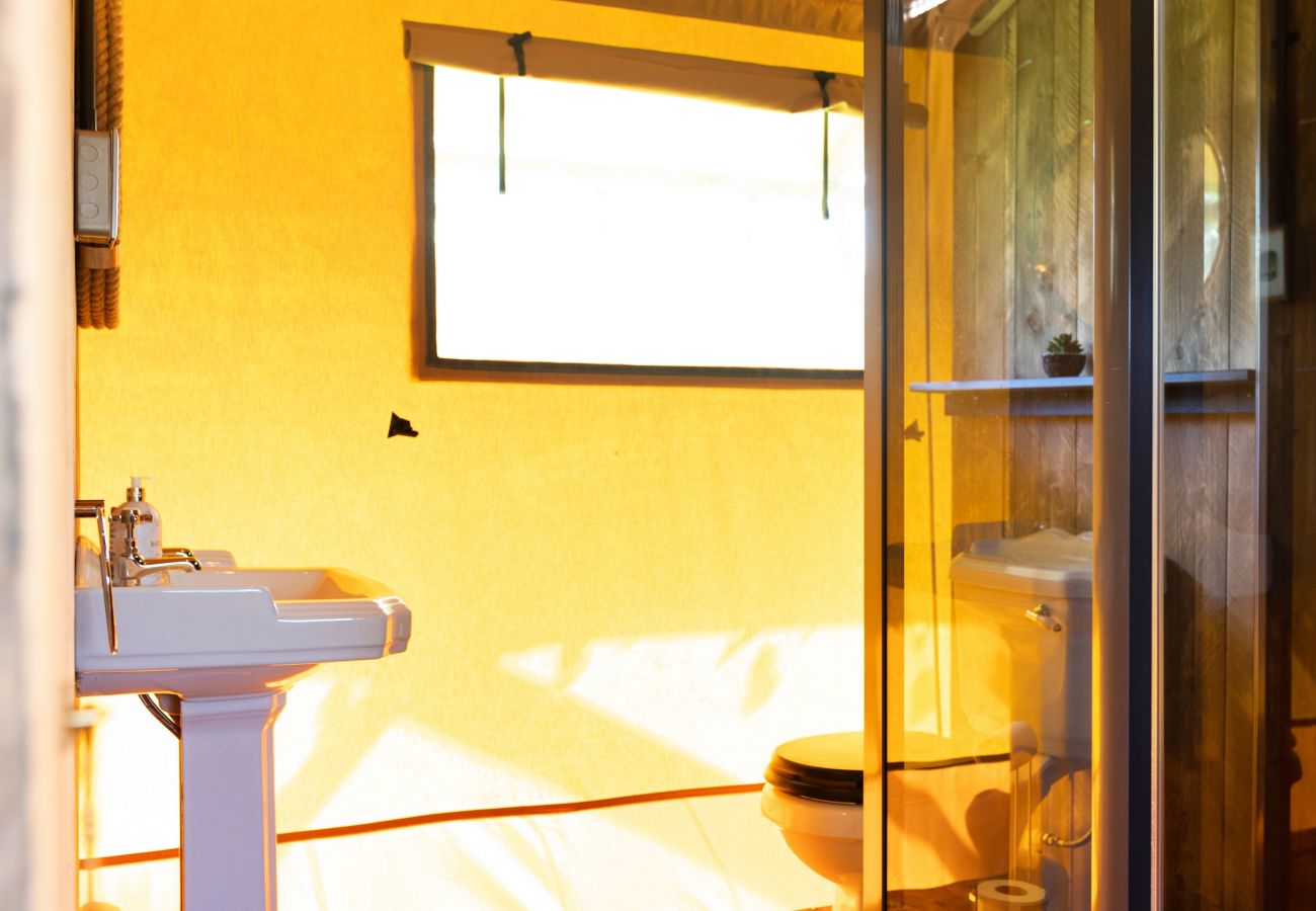 Farm stay in Seend - Rusty Lane, Safari Lodge