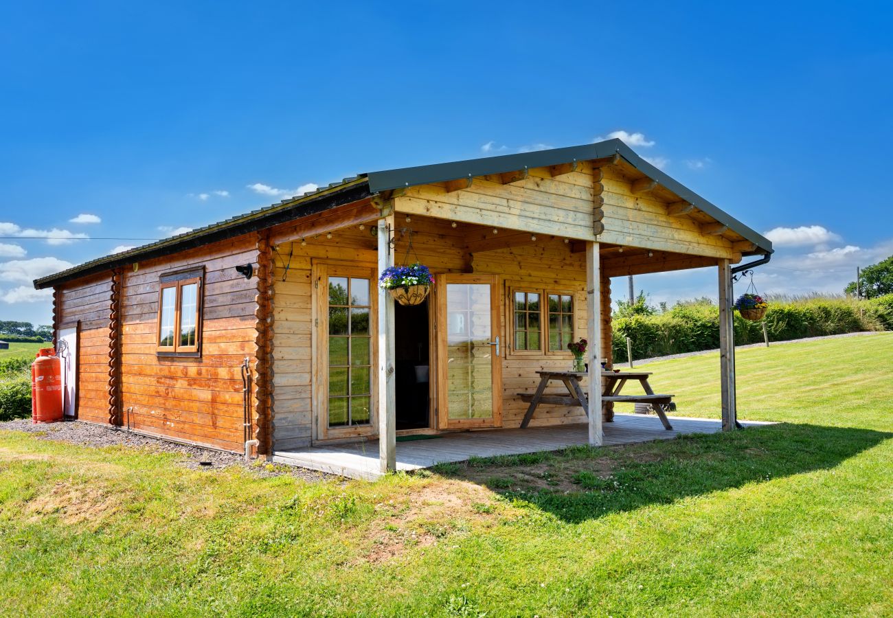 Farm stay in Okehampton - Moor View Cabin