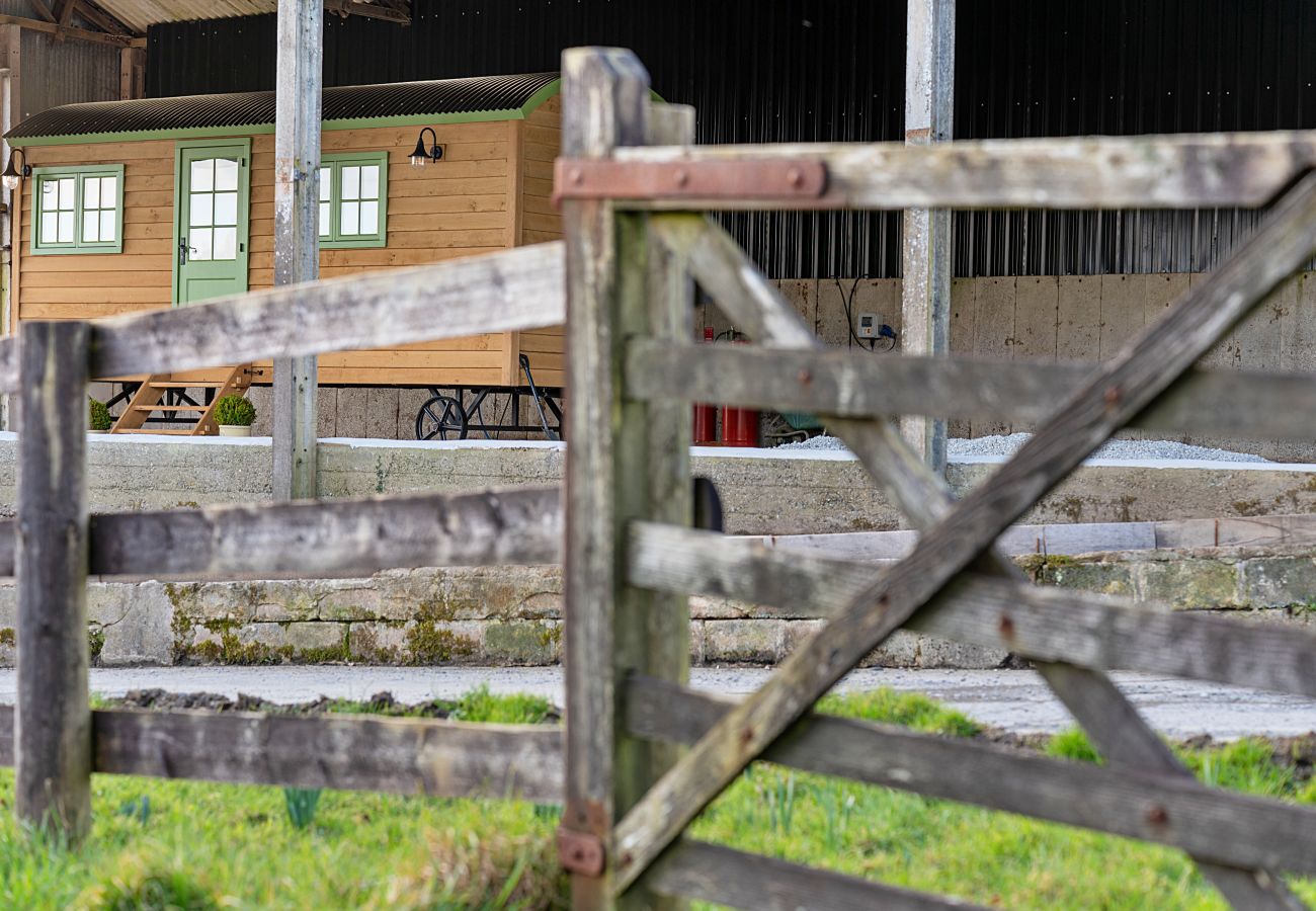 Farm stay in Beaworthy - The Shepherd's Hut at Northcombe Farm