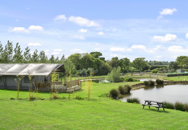 Chalet in Hertford - The Herdwick Safari Tent Chalet in Hertford - The Herdwick Safari Tent