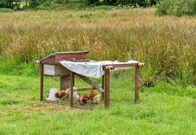 Chalet in Ilfracombe - Ash Lotus Belle Tent Chalet in Ilfracombe - Ash Lotus Belle Tent