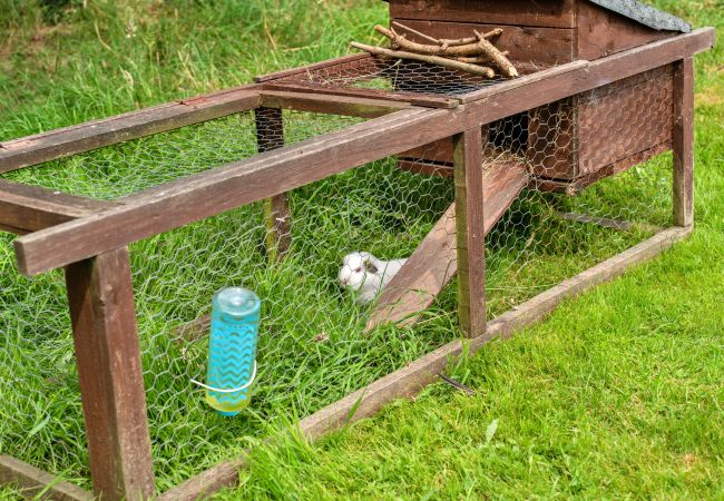 Chalet in Ilfracombe - Ash Lotus Belle Tent Chalet in Ilfracombe - Ash Lotus Belle Tent
