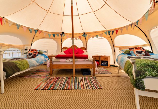 Chalet in Ilfracombe - Beech Lotus Belle Tent Chalet in Ilfracombe - Beech Lotus Belle Tent