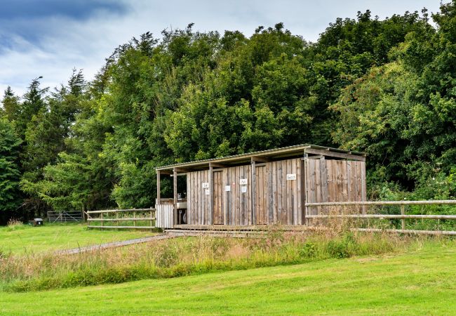 Chalet in Ilfracombe - Beech Lotus Belle Tent Chalet in Ilfracombe - Beech Lotus Belle Tent