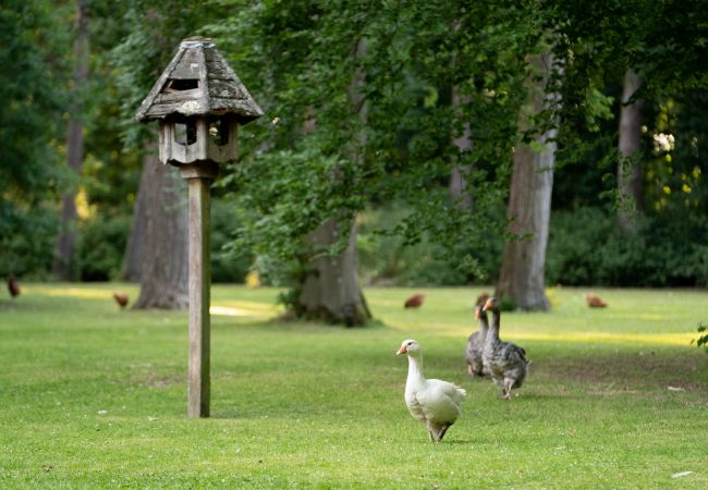 Chalet in Woolton Hill - Bedouin Bell Tent Chalet in Woolton Hill - Bedouin Bell Tent