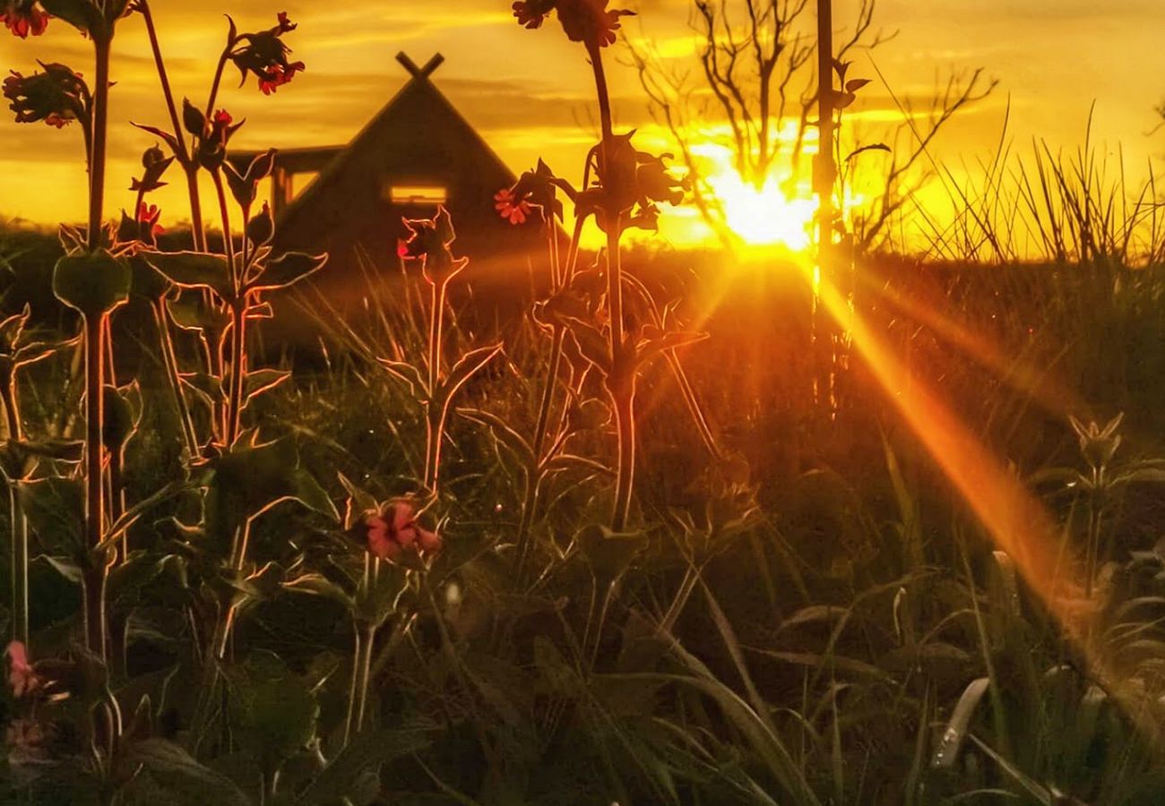 Chalet in Coverack - Godrevy Celtic Longhouse Tent