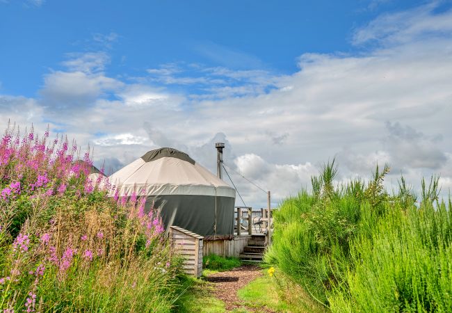 Chalet in Auchterarder - Bramble Yurt Chalet in Auchterarder - Bramble Yurt