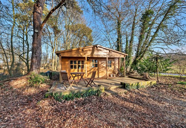 Chalet in Bury St Edmunds - Woodland Lodge