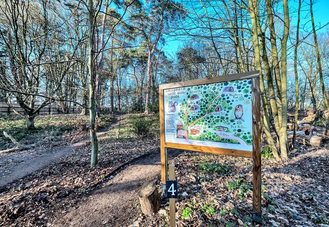 Chalet in Bury St Edmunds - Woodland Lodge