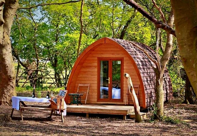 Chalet in Bury St Edmunds - Aelfred Pod Chalet in Bury St Edmunds - Aelfred Pod