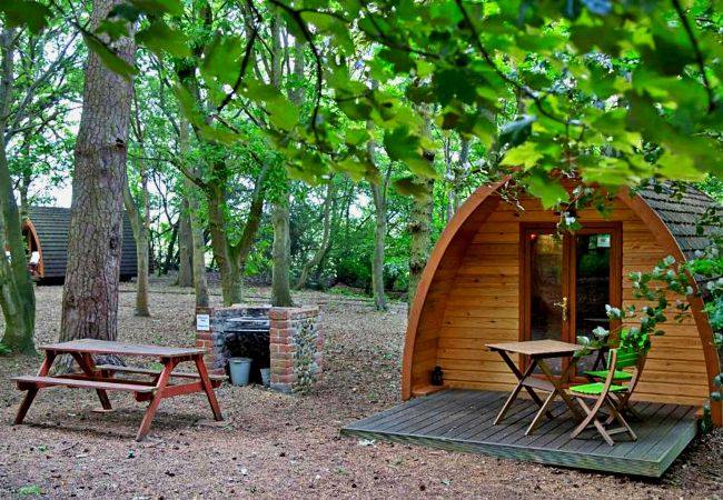 Chalet in Bury St Edmunds - Eadmund Pod Chalet in Bury St Edmunds - Eadmund Pod