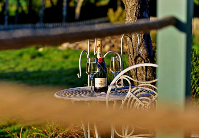 Chalet in Pwllheli - 'Joan' Shepherds Hut Chalet in Pwllheli - 'Joan' Shepherds Hut