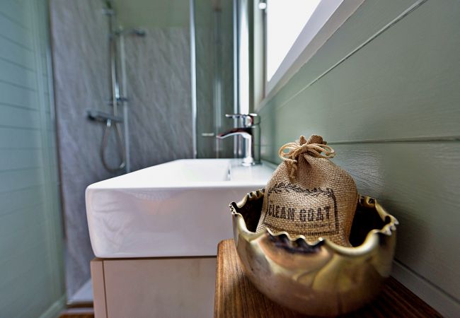 Chalet in Pwllheli - 'Joan' Shepherds Hut Chalet in Pwllheli - 'Joan' Shepherds Hut