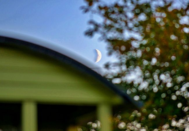 Chalet in Pwllheli - 'Angharad' Poachers Hut Chalet in Pwllheli - 'Angharad' Poachers Hut
