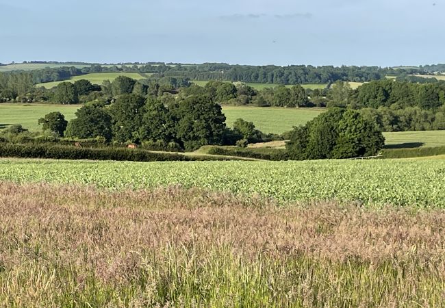 Cabin in Banbury - The Cornflower