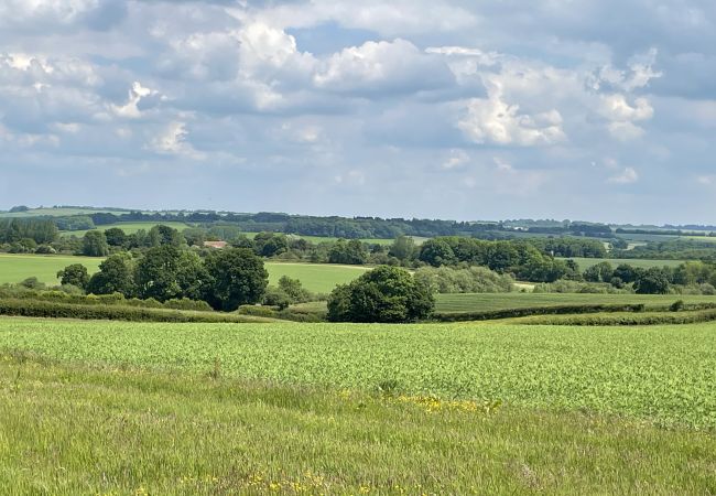 Cabin in Banbury - The Campion Cabin in Banbury - The Campion