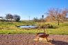 Chalet in Hemingby - Longwool View Chalet in Hemingby - Longwool View