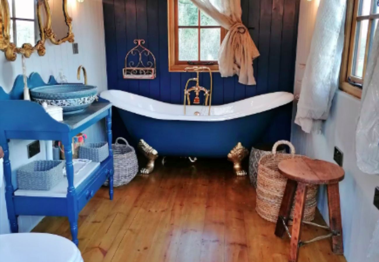 Chalet in Romsey - Shepherd's Hut at Hilltop Farm