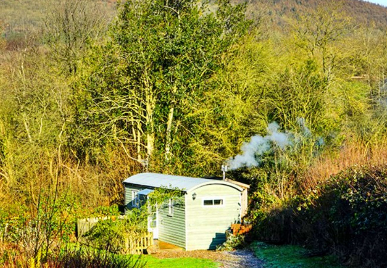 Chalet in Shrewsbury - Shepherd's Retreat at Morrells Wood