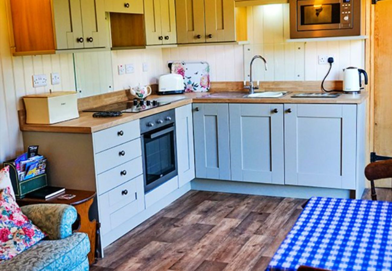 Chalet in Shrewsbury - Shepherd's Lodge at Morrells Wood