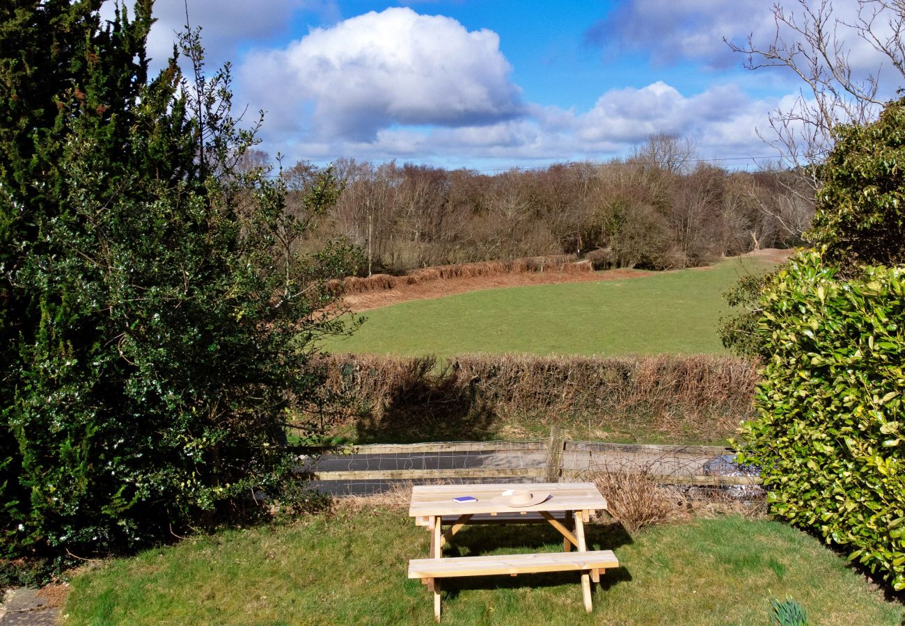 Cottage in Denbigh - Capel Hebron