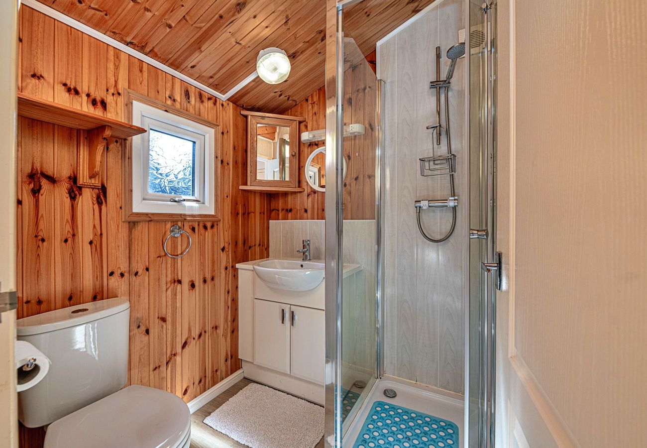 Cabin in Aberdesach - Bimbadeen Lodge