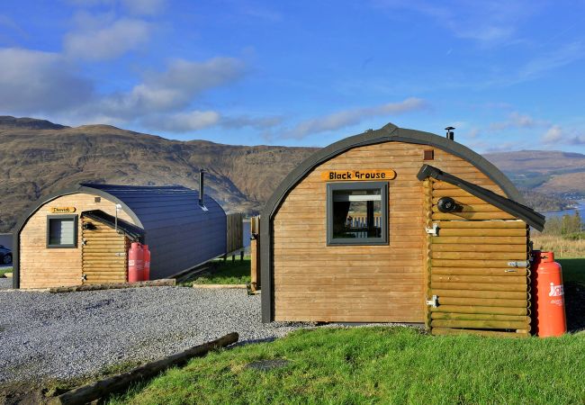 Cabin in Fort William - Dalaraban Luxury Pods - Black Grouse Cabin in Fort William - Dalaraban Luxury Pods - Black Grouse