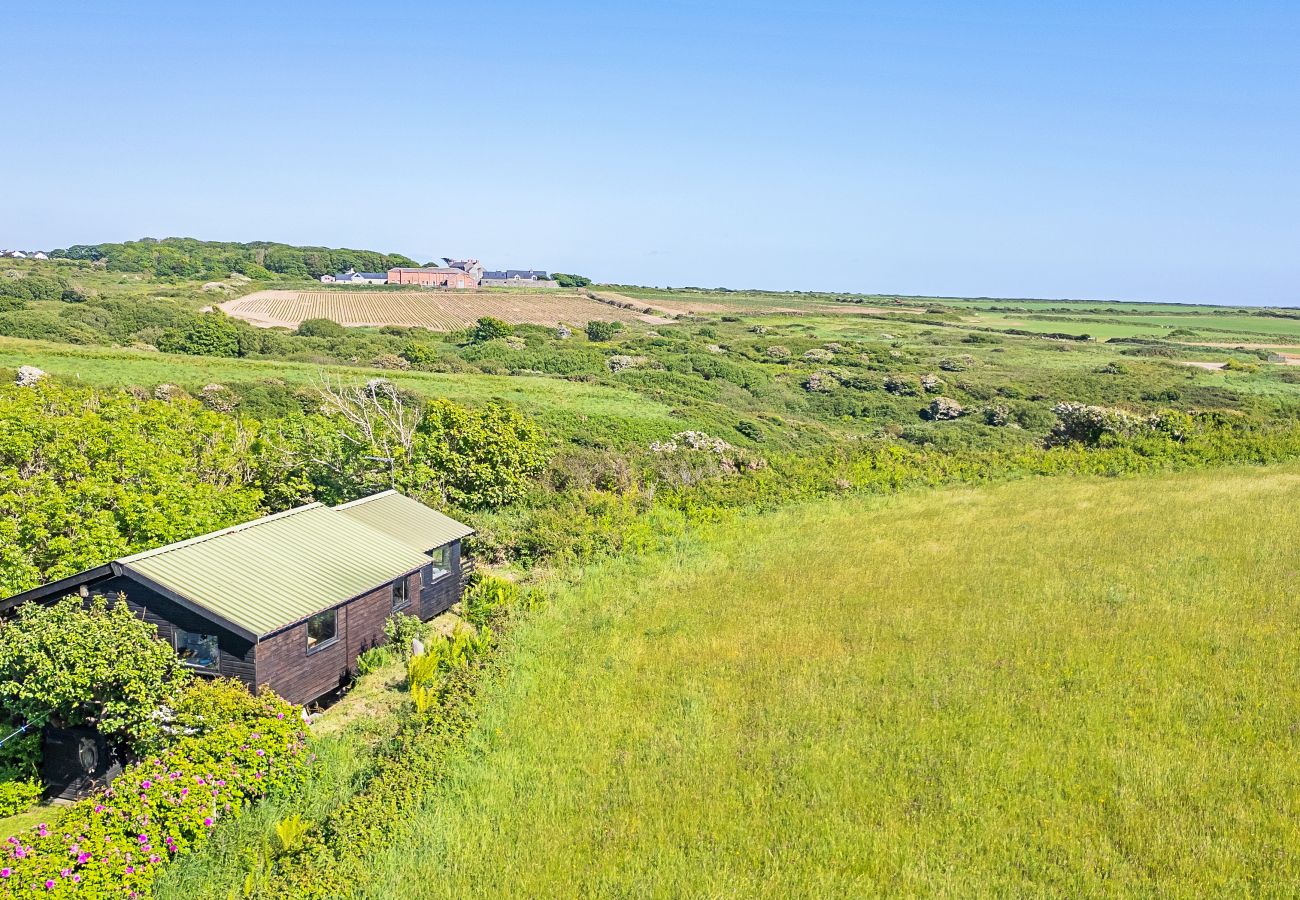 Cabin in Solva - The Tree House