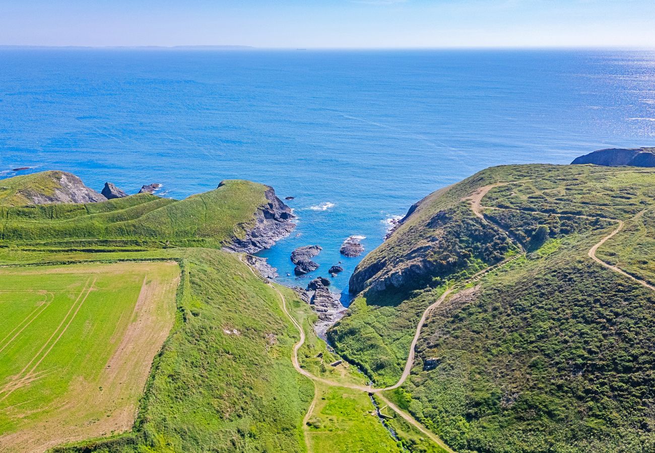 Cabin in Solva - The Tree House