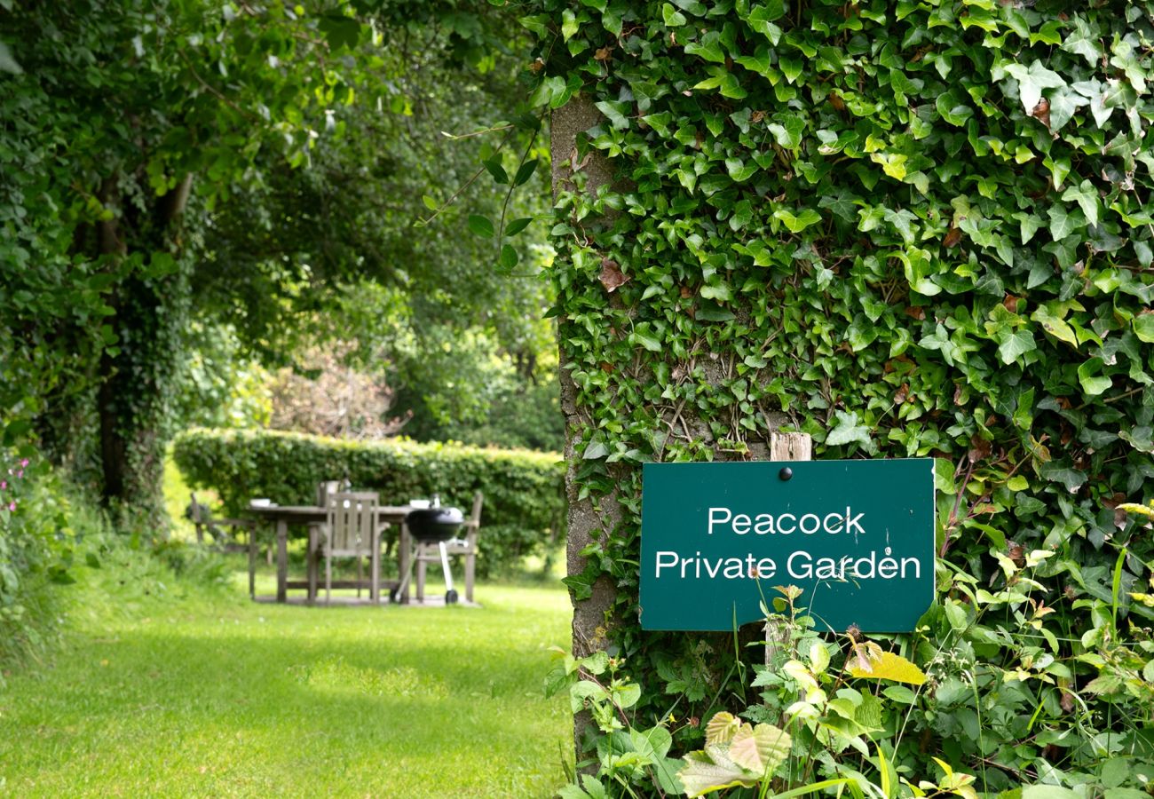 Cottage in Combe Martin - Coulscott Peacock Cottage