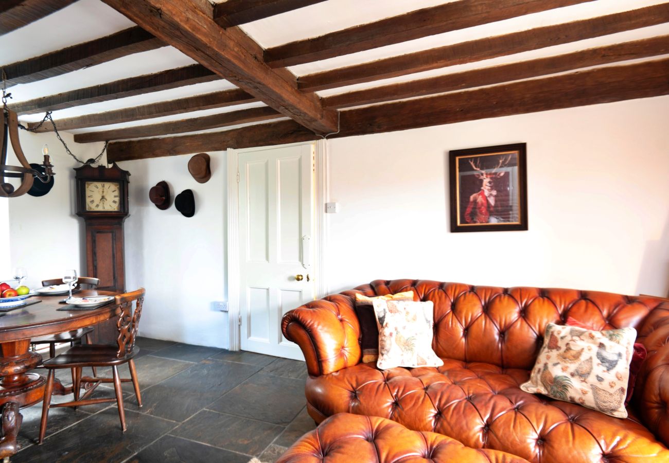 Cottage in Dolgellau - Waen Fechan