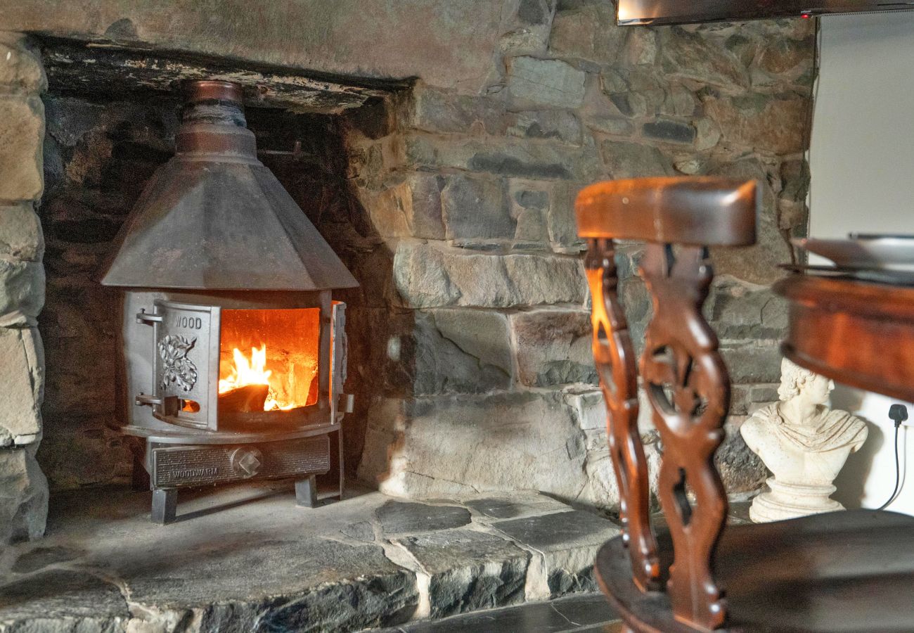Cottage in Dolgellau - Waen Fechan