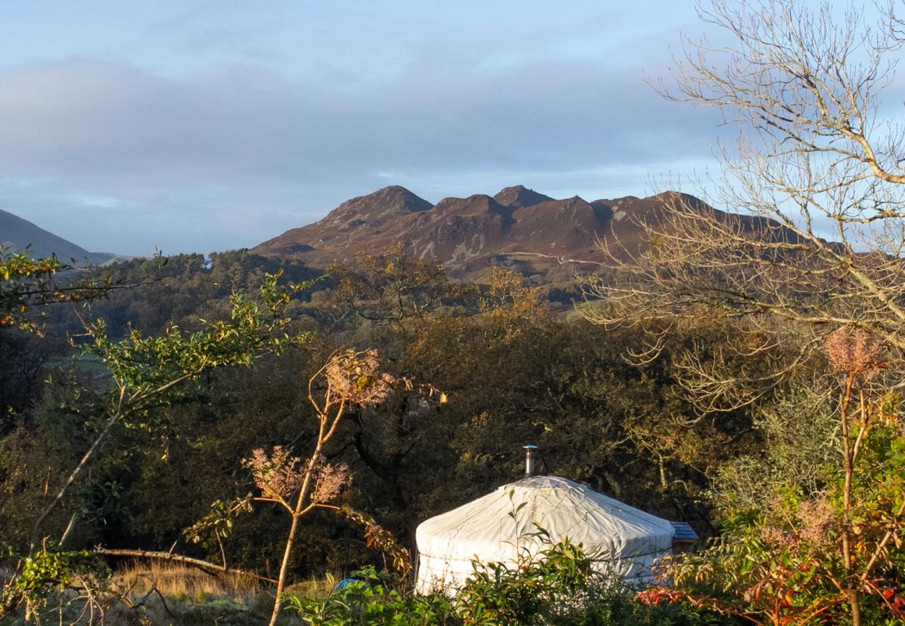 Chalet in Dolgellau - Pandy Traditional Yurt