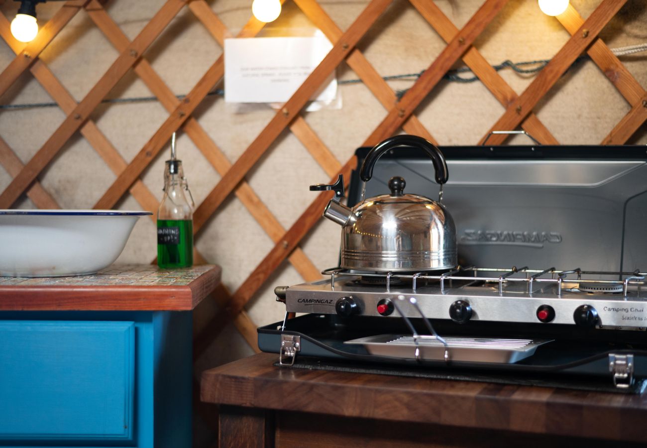 Chalet in Dolgellau - Pandy Traditional Yurt
