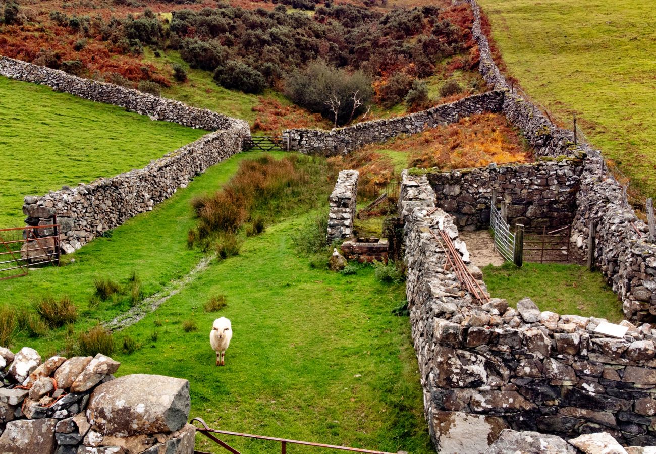 Chalet in Dolgellau - Pandy Traditional Yurt