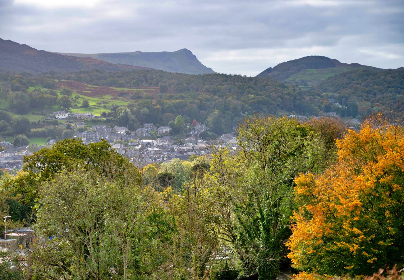 Chalet in Dolgellau - Pandy Traditional Yurt