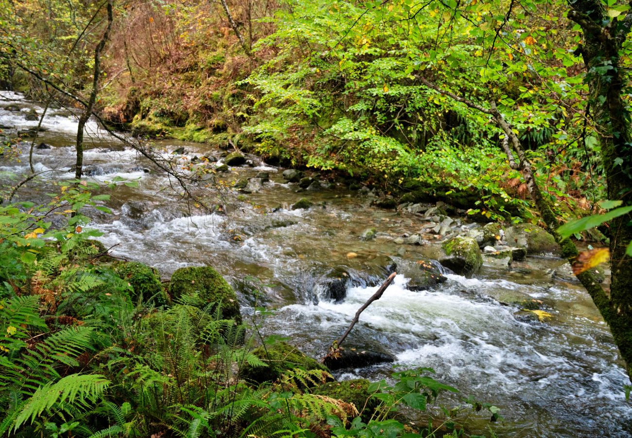 Chalet in Dolgellau - Pandy Traditional Yurt