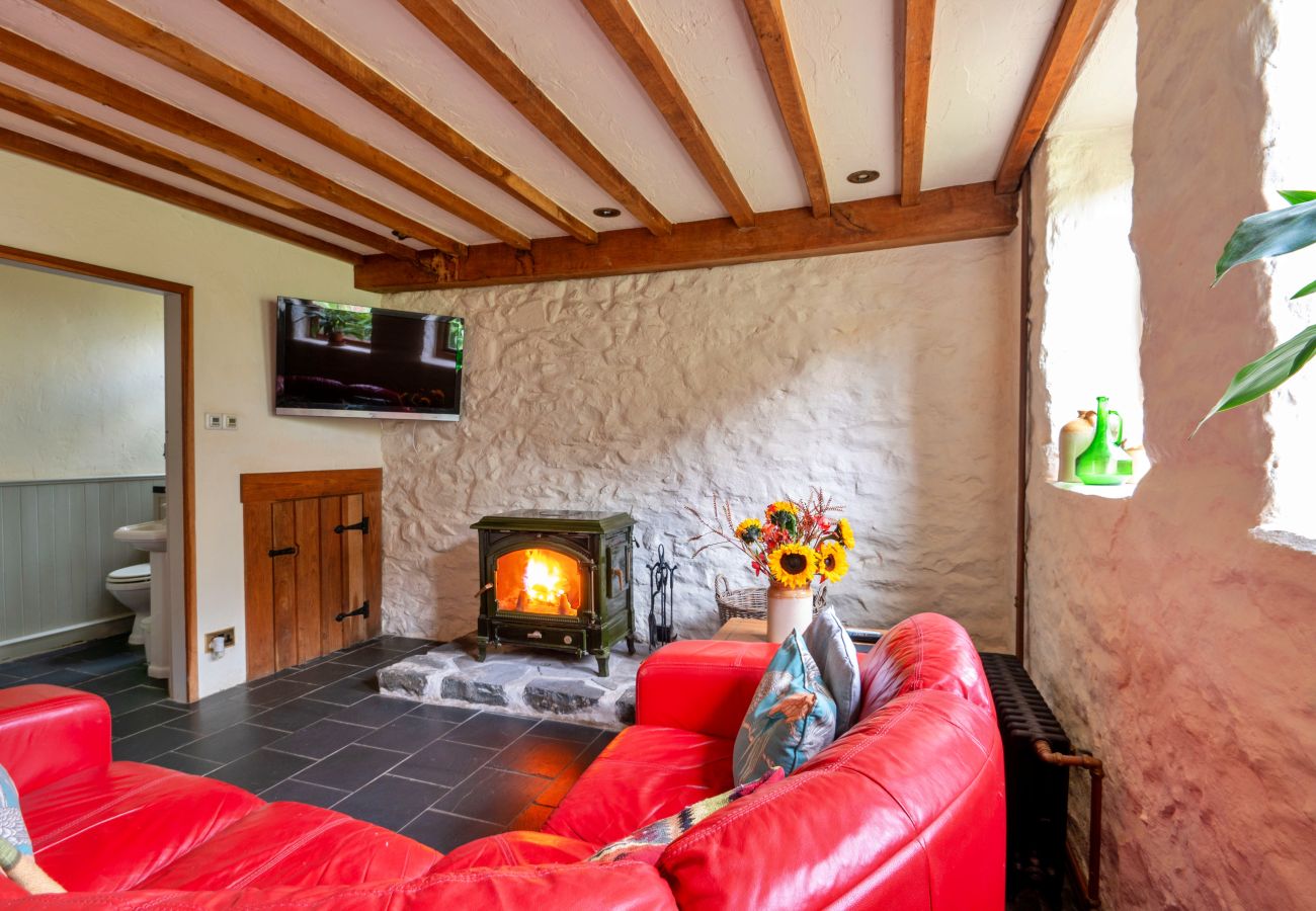 Cottage in Dolgellau - Pandy Farmhouse