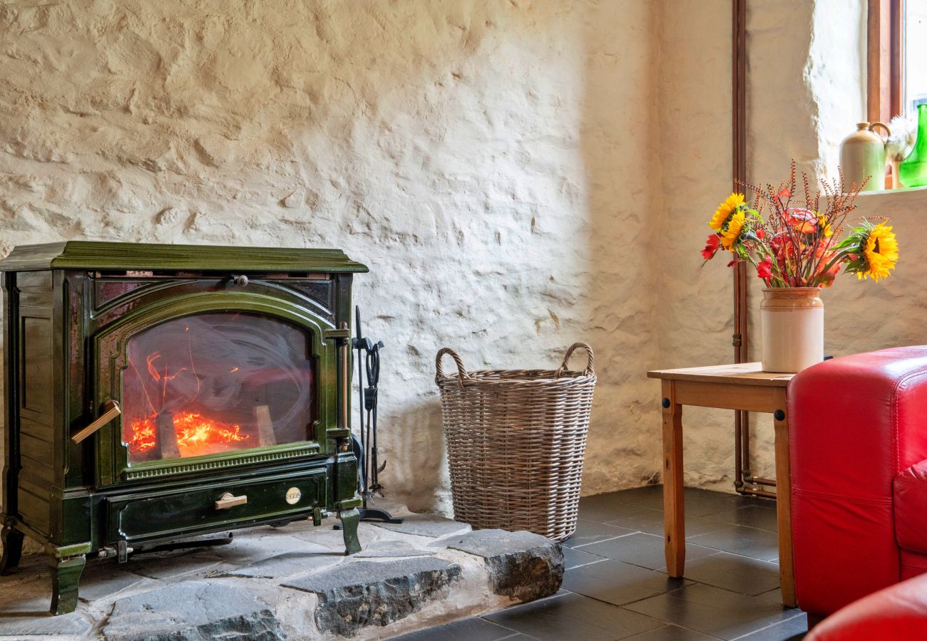 Cottage in Dolgellau - Pandy Farmhouse