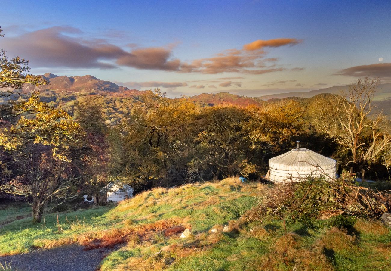 Chalet in Dolgellau - Pandy Mongolian Yurt