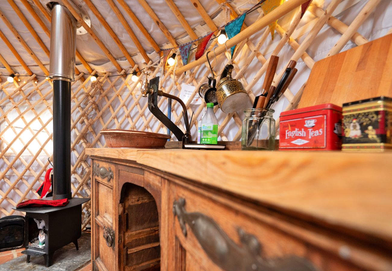 Chalet in Dolgellau - Pandy Mongolian Yurt