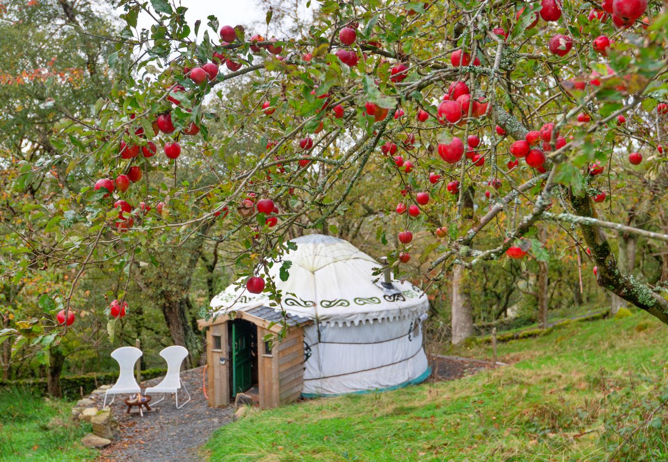 Chalet in Dolgellau - Pandy Mongolian Yurt