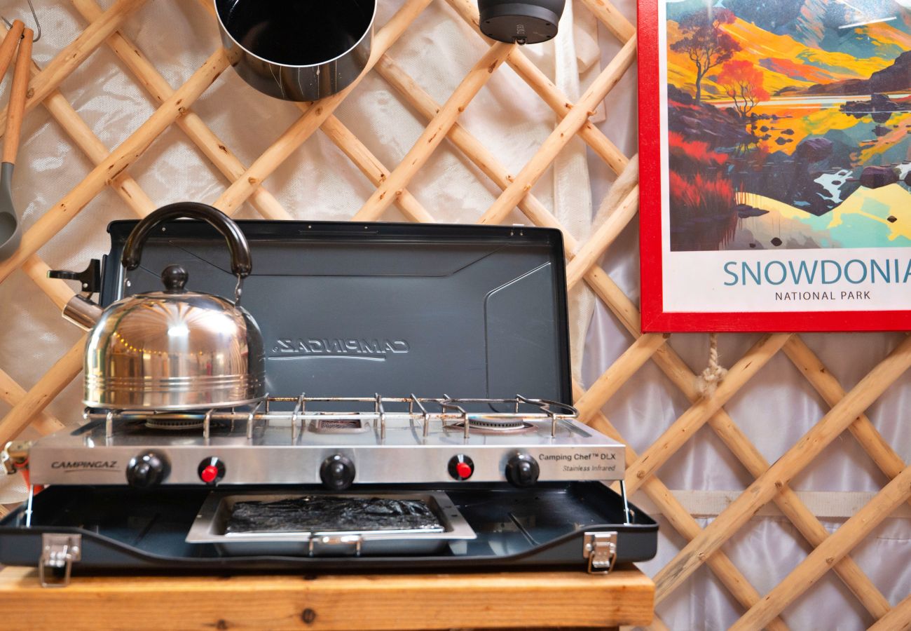 Chalet in Dolgellau - Pandy Mongolian Yurt