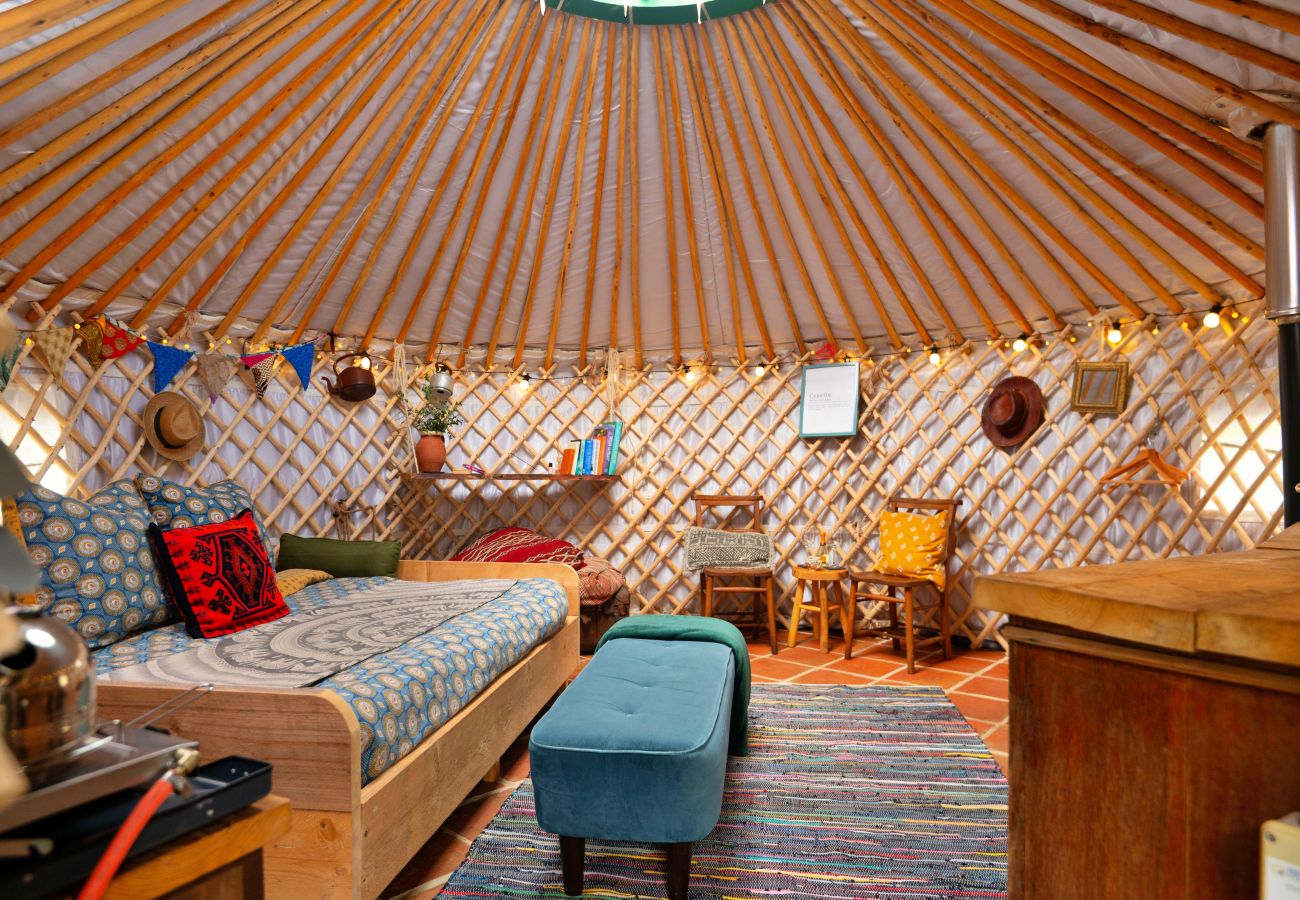 Chalet in Dolgellau - Pandy Mongolian Yurt