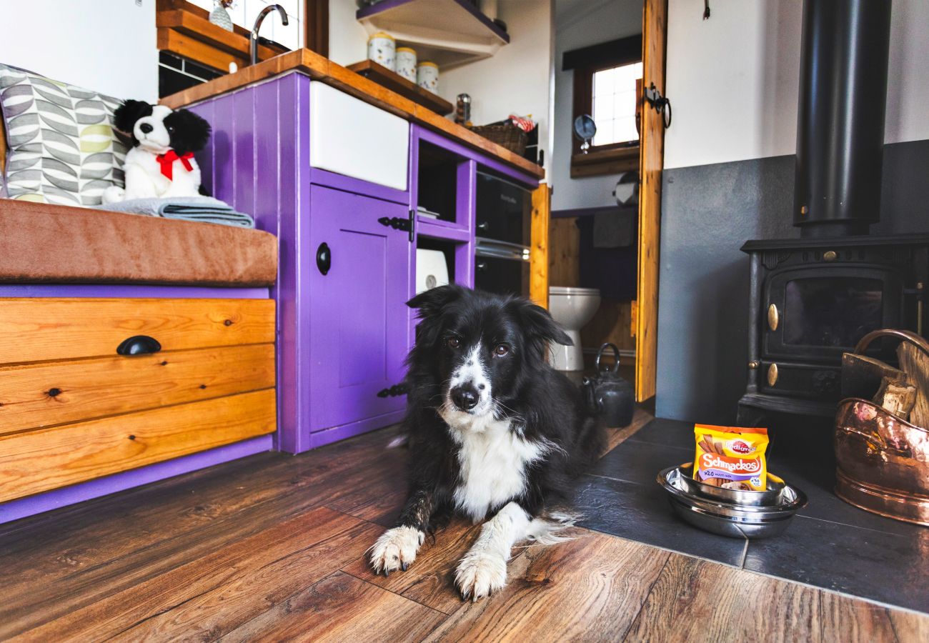 Chalet in Bishop Auckland - Weardale Shepherd's Hut